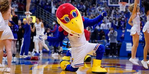 The Impact of an Enormous Jay Mascot on Team Success: Case Studies and Analysis